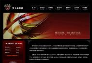 影视广告制作公司网站,衡阳网站制作案例